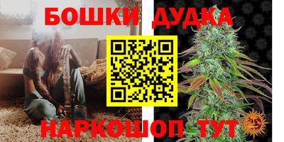 индика Можайск