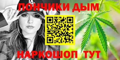 индика Можайск