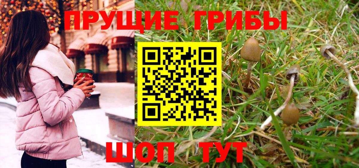 что такое   Галлюциногенные грибы MAGIC MUSHROOMS  Вход с VPN  Сокол 