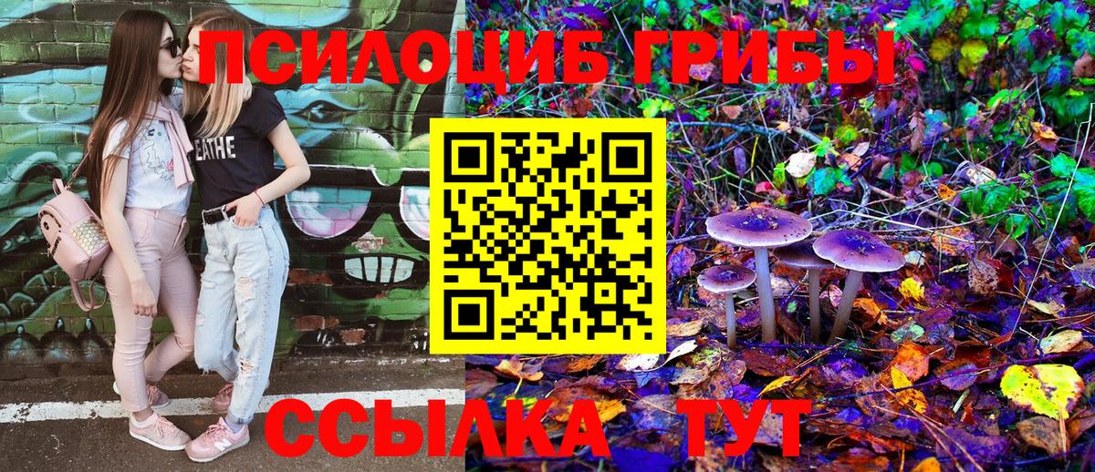 Галлюциногенные грибы Magic Shrooms Сокол